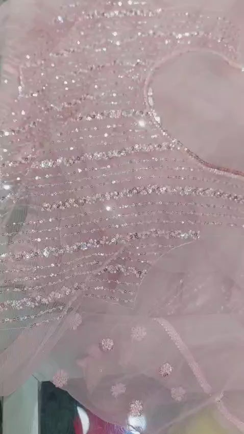 Blush Pink Pearl & Sequin Work Premium Net Saree