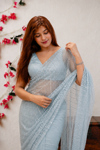 Sky blue Pearl & Sequin Work Premium Net Saree